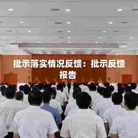 批示落实情况反馈：批示反馈报告 