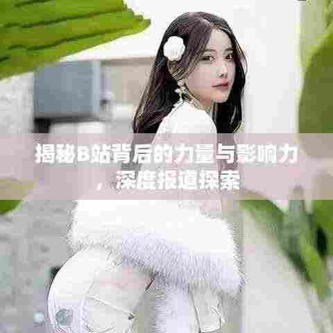 揭秘B站背后的力量与影响力，深度报道探索