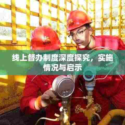 线上督办制度深度探究，实施情况与启示