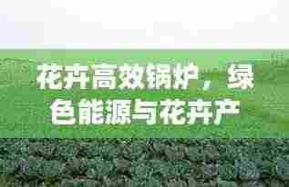 花卉高效锅炉，绿色能源与花卉产业融合创新之道