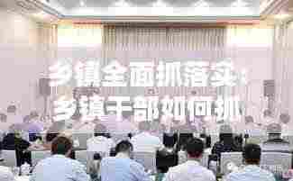 乡镇全面抓落实：乡镇干部如何抓工作落实 