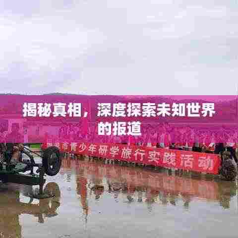 揭秘真相,深度探索未知世界的报道