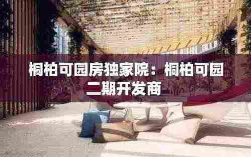 桐柏可园房独家院：桐柏可园二期开发商 