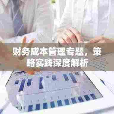 财务成本管理专题，策略实践深度解析