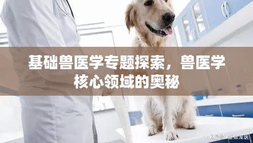 基础兽医学专题探索,兽医学核心领域的奥秘