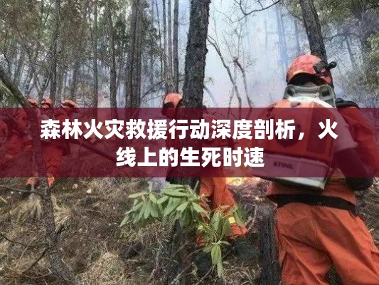 森林火灾救援行动深度剖析，火线上的生死时速