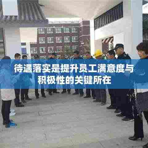 待遇落实是提升员工满意度与积极性的关键所在