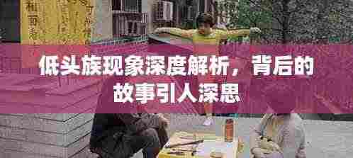 鸟语花香 第4页