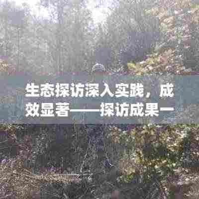 生态探访深入实践，成效显著——探访成果一览