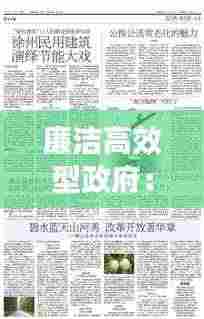 廉洁高效型政府：廉洁高效政府例子 