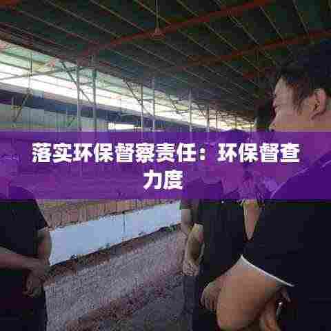 落实环保督察责任：环保督查力度 