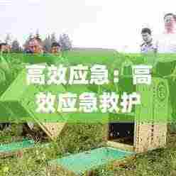 高效应急：高效应急救护培训标题怎么写 