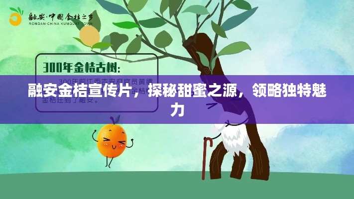 融安金桔宣传片，探秘甜蜜之源，领略独特魅力