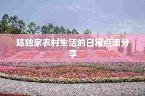 陈独家农村生活的日常点滴分享