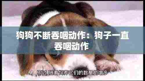 狗狗不断吞咽动作：狗子一直吞咽动作 