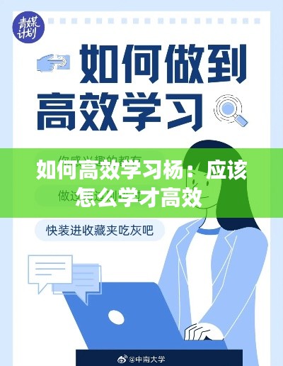 如何高效学习杨：应该怎么学才高效 