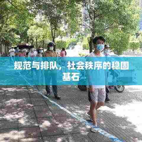 规范与排队，社会秩序的稳固基石