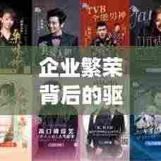 企业繁荣背后的驱动力,业绩持续上涨揭秘