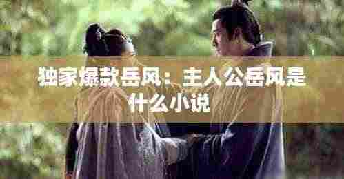 独家爆款岳风：主人公岳风是什么小说 