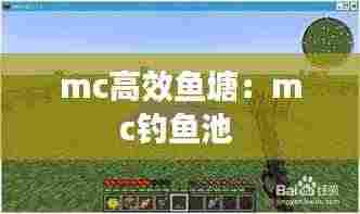 mc高效鱼塘：mc钓鱼池 
