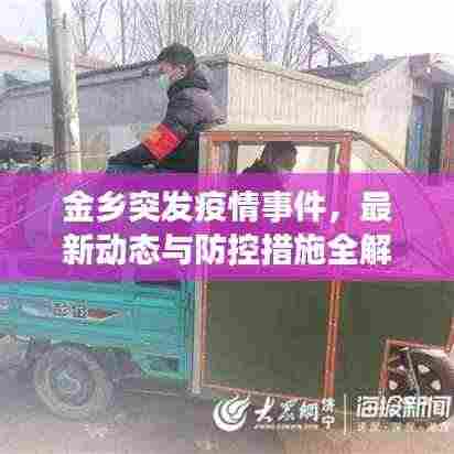 金乡突发疫情事件，最新动态与防控措施全解析