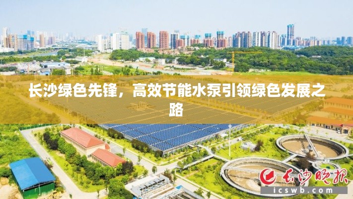 长沙绿色先锋，高效节能水泵引领绿色发展之路