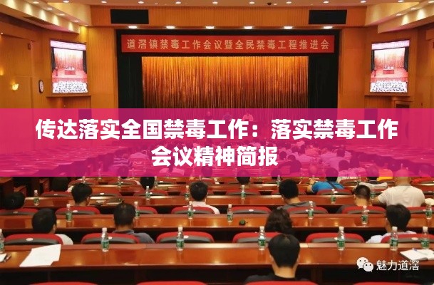 传达落实全国禁毒工作：落实禁毒工作会议精神简报 