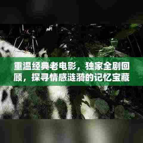 重温经典老电影，独家全剧回顾，探寻情感涟漪的记忆宝藏