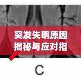 突发失明原因揭秘与应对指南