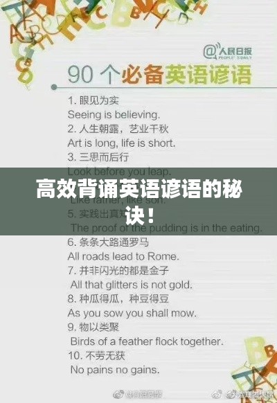 高效背诵英语谚语的秘诀！