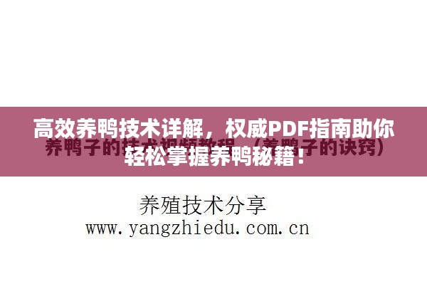 鸟入樊笼 第4页