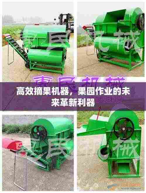 高效摘果机器，果园作业的未来革新利器