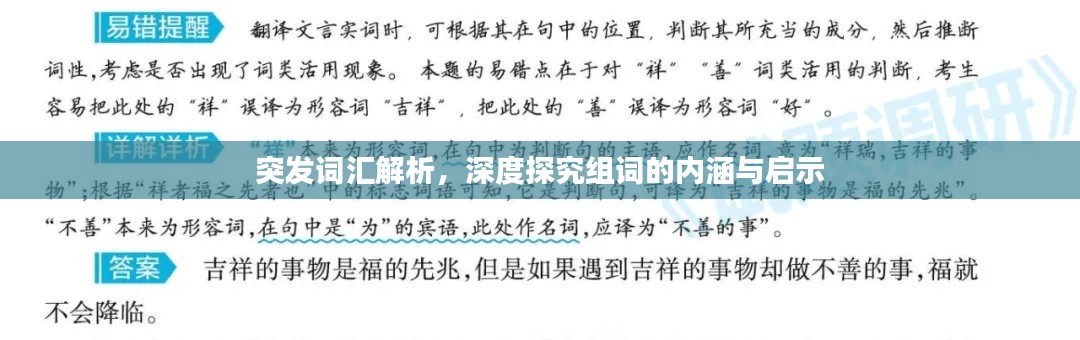 突发词汇解析，深度探究组词的内涵与启示