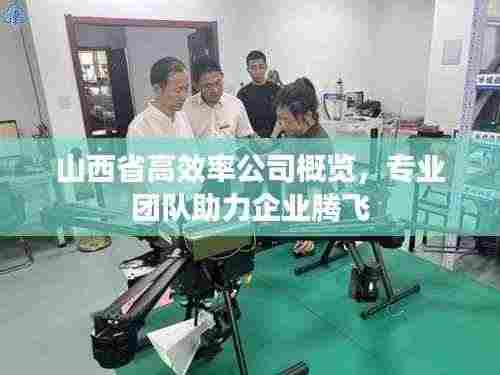 山西省高效率公司概览，专业团队助力企业腾飞