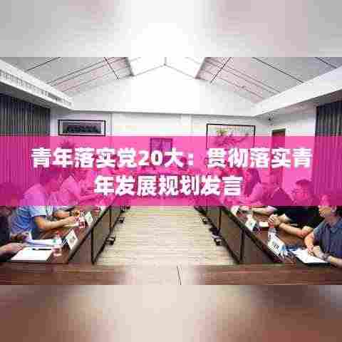 青年落实党20大：贯彻落实青年发展规划发言 