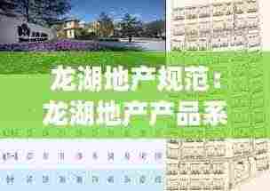龙湖地产规范：龙湖地产产品系列 