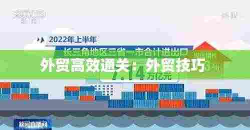 外贸高效通关：外贸技巧 