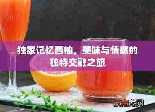 独家记忆西柚，美味与情感的独特交融之旅