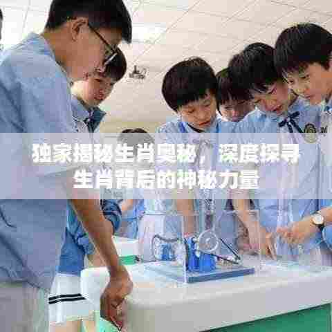 独家揭秘生肖奥秘，深度探寻生肖背后的神秘力量