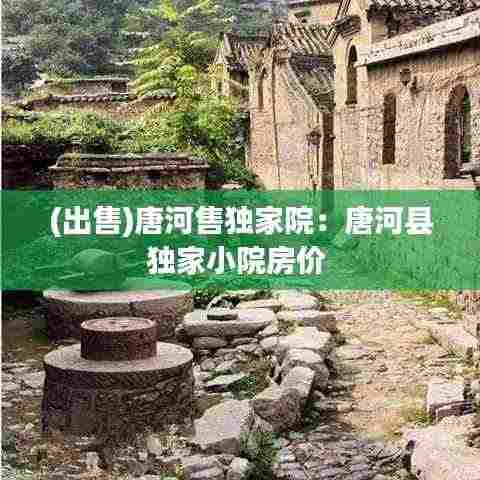 (出售)唐河售独家院：唐河县独家小院房价 