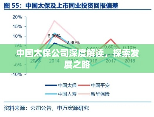 中国太保公司深度解读，探索发展之路
