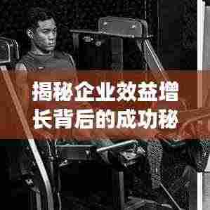 揭秘企业效益增长背后的成功秘诀，企业成功之路图解析