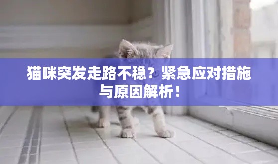 张皇失措 第3页