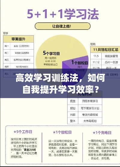 高效学习训练法，如何自我提升学习效率？