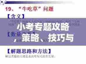 小考专题攻略，策略、技巧与知识要点一网打尽