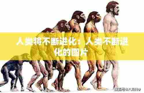 威风凛凛 第4页