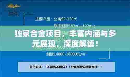 独家合金项目，丰富内涵与多元展现，深度解读！