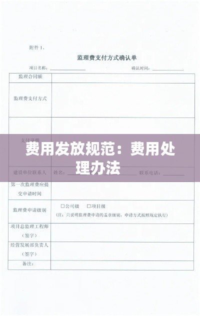 费用发放规范：费用处理办法 