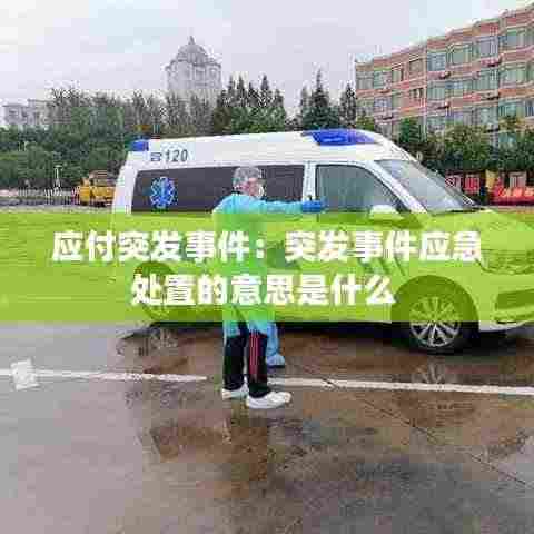 应付突发事件:突发事件应急处置的意思是什么