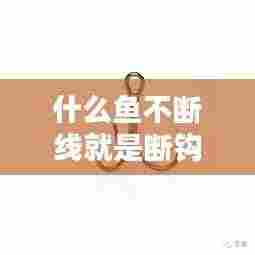 什么鱼不断线就是断钩了：什么鱼线鱼咬不断 